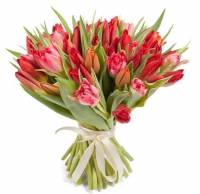 Алое солнце