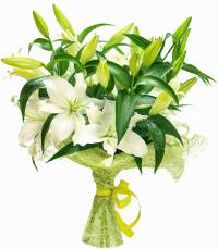 Долгожданный